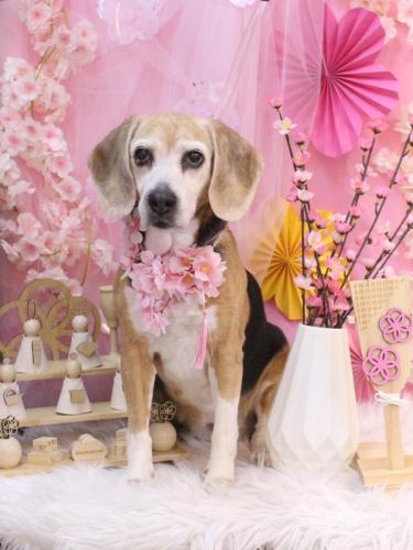 20250306ミツコちゃん